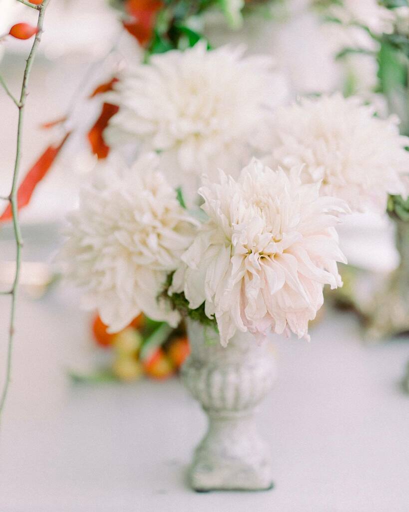 studiodefleurs1's tweet photo. An unique venue with delicate and soft colors that blend perfectly with the decoration that we have created

Gorgeous Photography by @bloomfield_wedding_photography 

Planning, Styling &amp; design 
@wedding_donna
Floral design and Decor @studiode_fleurs 
Ta… https://t.co/fIKOkY2fcf https://t.co/Uu3dEm1pXl
