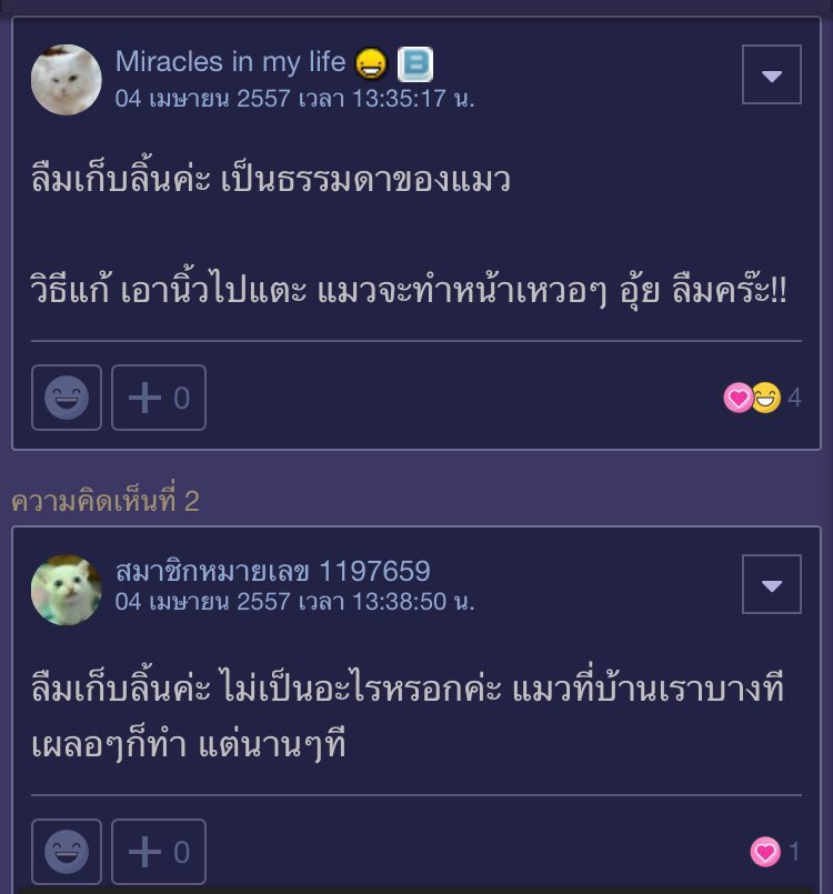 LORD 𓆇 tweet media