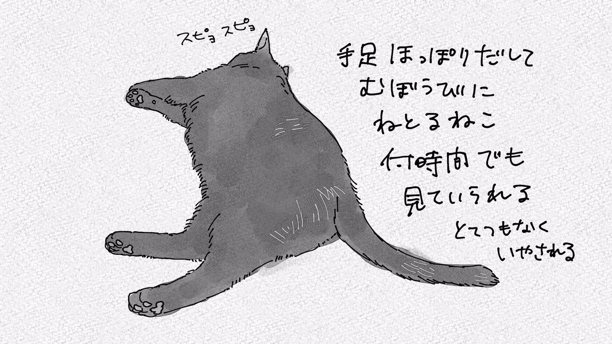 そしてねこをこの角度から見るのがとてもすき 