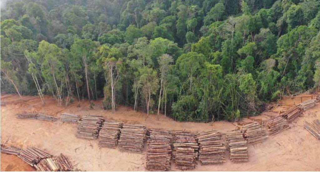 #MaríaNeira: “los virus del ébola, SARS o VIH han saltado de animales a humanos después de la destrucción masiva de bosques”
Es necesario el equilibrio con el #medioambiente 🆘Urge eliminar CO2☠️ 
#Deforestación
¿Qué crees?➡️ bit.ly/3qcE3Pn 
<a href="/AlejandroSanz/">Alejandro Sanz</a> 
<a href="/LFdCesmas/">LaFuerzadelCorazón</a>