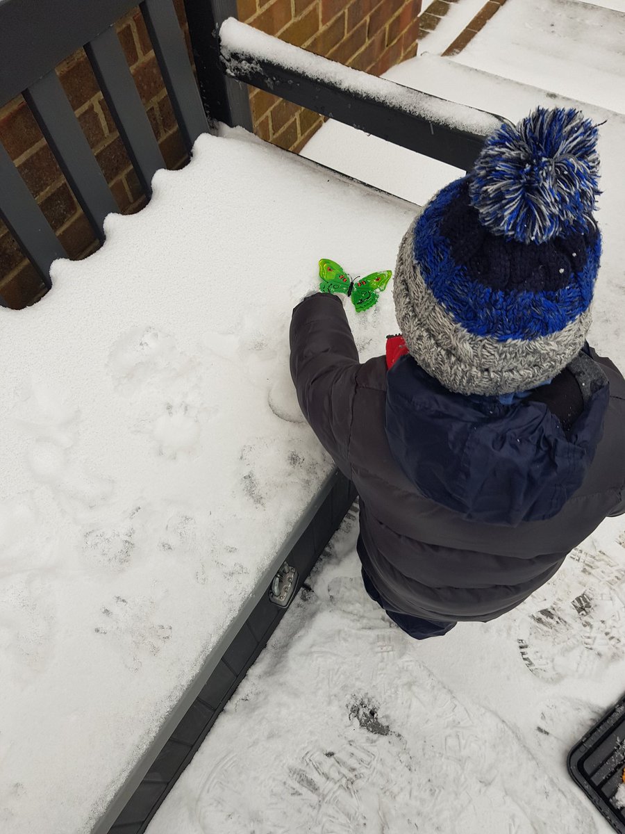 SophieHand17's tweet photo. Activity 1 we done mini beast snow fossils  @MissJohns8 @QHAThurrock https://t.co/XmGfxXmgxK