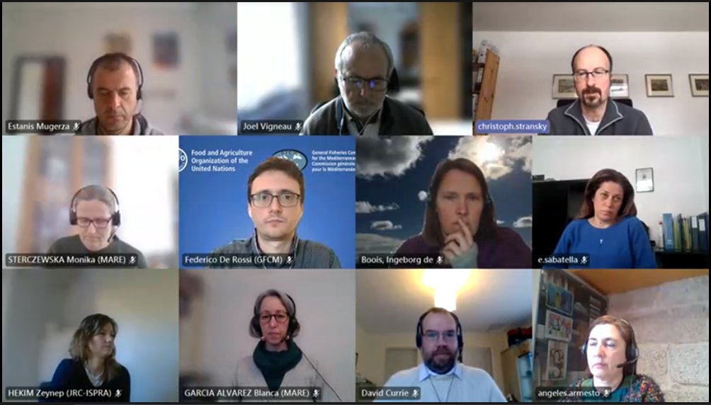 UN_FAO_GFCM's tweet photo. #Today we shared the @UN_FAO_GFCM experience on #Fisheries #DataQuality in the #Mediterranean & #BlackSea at the virtual meeting #STECF “EWG 20 18” with @EU_MARE, @EU_ScienceHub, @ICES_ASC, #DGENV and other relevant participants.
🌍Stand ready for #RegionalCooperation! https://t.co/1W2xblu9EU