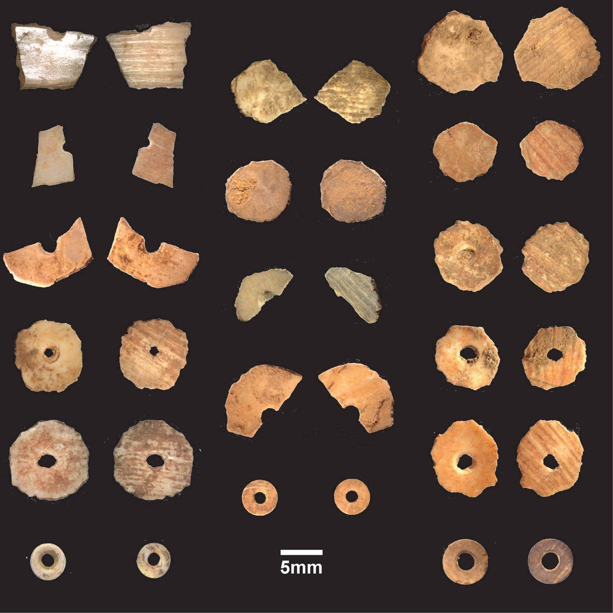 On behalf of my co-authors, I'm happy to share our new paper! We use experimental and archaeological data to reconstruct an ancient bead tradition from Malawi, AND we announce the oldest directly dated snail beads (9500 BP).Available open-access: https://link.springer.com/article/10.1007/s12520-021-01274-8