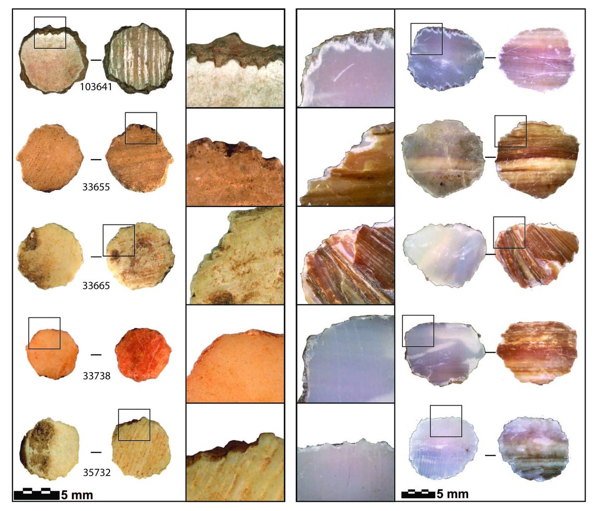 Plenty more is in the article, including experimental shell breakage, morphometric analyses, and pXRF data of red residues.We want to stress that beadmaking is more than just a series of steps, it is culturally transmitted behavior that can help reveal ancient social dynamics.
