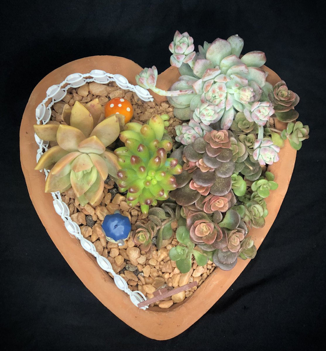LittleLotph's tweet photo. LoveLots by #LittleLot 💝

Surprise your #lovedones and #specialsomeone with #littlelot’s #growinggift💝 this #lovemonth 💞

#LoveLot price starts at P399-599!
Send us a DM today

#miniaturegarden #succulentarrangement #succulentgarden #succulentlover #spreadlove #bloominggifts https://t.co/NCkn7gLWGr