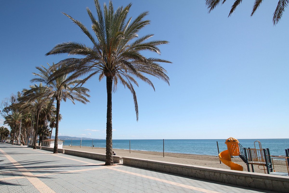 FinestRentals's tweet photo. ⛱HOLIDAY LETTING⛱
🔷Villa Magnolia - San Pedro Beach🔷
Prices from 300€/Night
✔️5 Beds - 5 Bath
✔️Capacity: 10 People
✔️Beachside
✔️Close to Amenities
���️Heated Swimming Pool 
https://t.co/e7QpLXXsyy https://t.co/ezY8iCGY8x