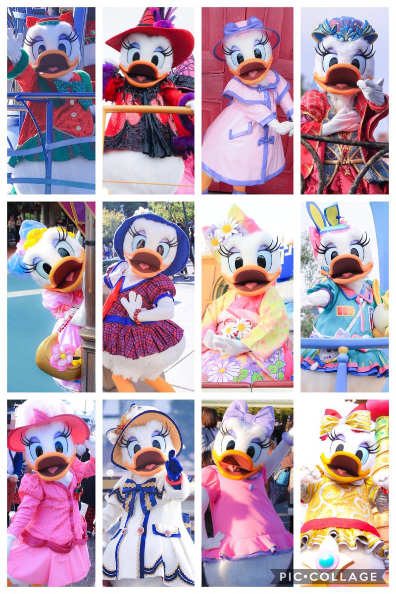 daisymgmg's tweet photo. 久々のおともだち探し💫
デイジーがすきです☺️💗
いいねで気になった方お迎え🐰🌟

#Twitter上にいるDヲタ全員と繋がるのが密かな夢だったりするのでとりあえずこれを見たDヲタはrtもしくはフォローしていただけると全力でフォローしに行きます
#フォロワーさんのフォロワーさんと繋がりたい https://t.co/XR4CzhspDV