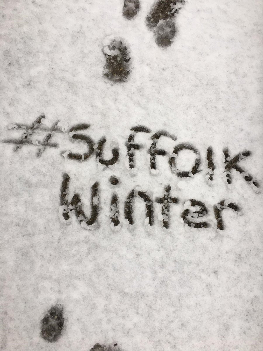 Good afternoon all 
The snow seems to be staying put for now and with temperatures remaining low, our teams will be completing various treatments throughout the day - updates will be provided once confirmed. ❄️

Send us your snow pictures from around the county!! 📸#SuffolkWinter