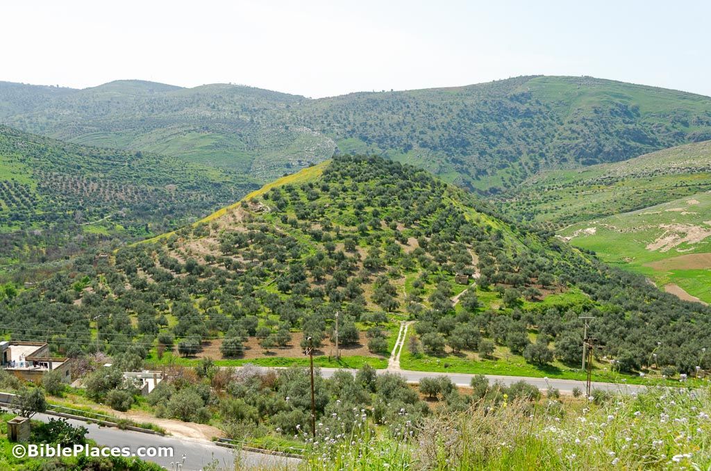 BiblePlaces's tweet photo. Favorite places in northern Jordan #1: Jabesh Gilead, home of the courageous men who rescued Saul's and Jonathan's bodies (1 Sam 31) https://t.co/yPxs0dqARz