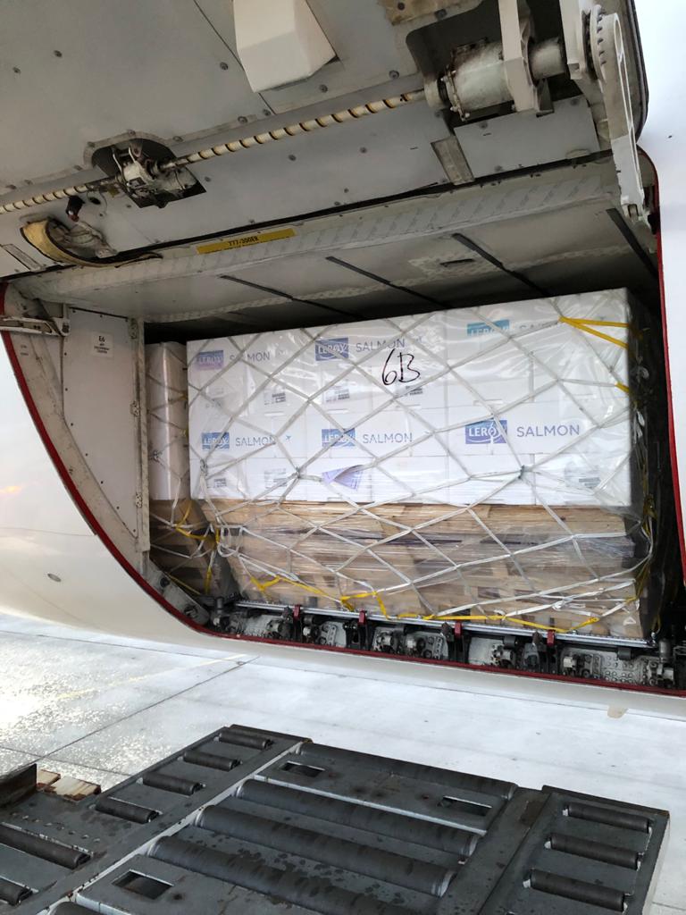 Qatar Airways tweet media