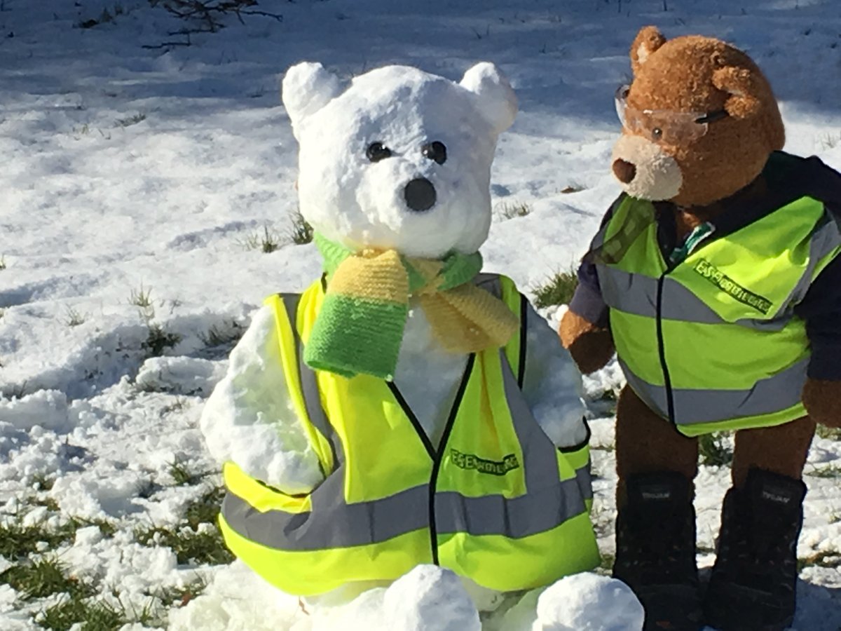 esedirect's tweet photo. We just adore this pic of #HealthAndSafetyBear with his friend #HealthAndSafetyBrrrr. 
🐻❄️  #snow #Snowuk https://t.co/BesWK1YHqI