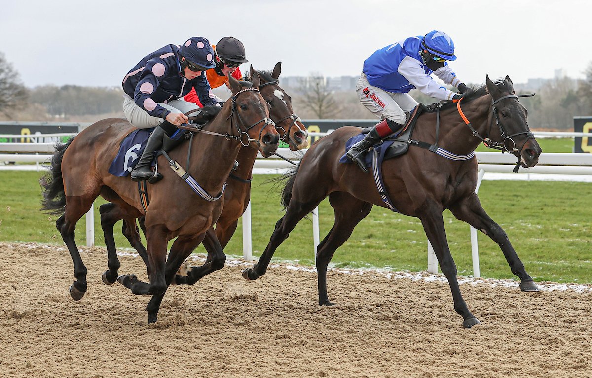 RACE 1 RESULT – @Quinn_bet Standard Open National Hunt Flat Race

🥇Creggan White Hare
🥈Moonlight Beam
🥉Ritson

Jockey: Jamie Bargary

Trainer: Sean Conway

Owners: Sean Conway

📸: <a href="/grossickphoto/">GROSSICK PHOTOGRAPHY</a>