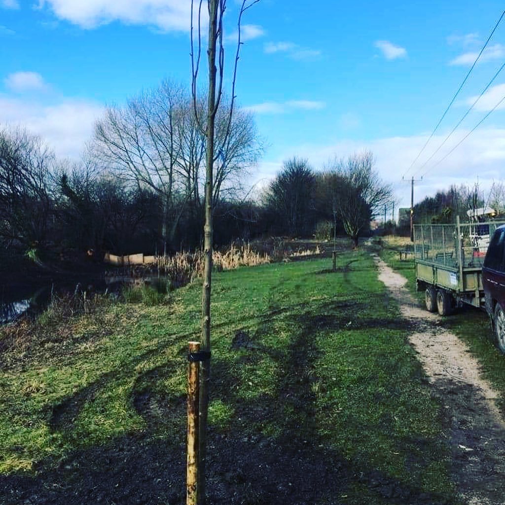 FCCcountryside's tweet photo. Plannu coed 🌳🌲
Tree planting 🌳🌲

#Bettisfield #bagillt #coed #trees #biodiversity #nature #plantfortheplanet #flintshire #walesadventure #rangering #digging #sunnyspots #cefngwlad #bywydgwyllt #natur #cadwraeth https://t.co/4Y0KFWcSU4