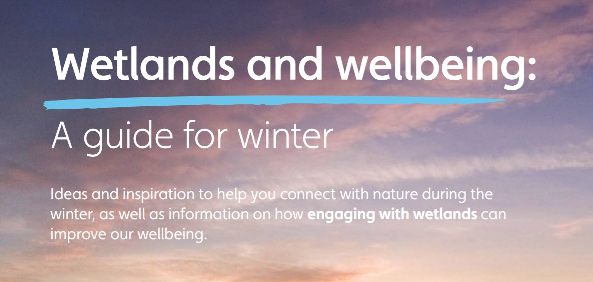 IUCNpeat's tweet photo. ‘Wetlands and wellbeing’ is a new guide launched by @WWTworldwide, created in partnership with the @mentalhealth, featuring information on how engaging with #wetlands can improve our wellbeing during the winter months. Download the free guide: https://t.co/10cuf4cdnF https://t.co/df89biXCZ0