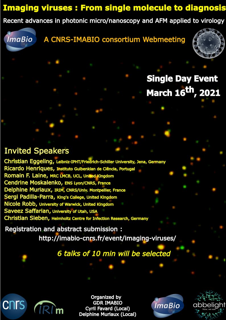 Happy to organise a single-day webinar w/<a href="/GDR_ImaBio/">GDR ImaBio</a>  "#Imaging_viruses" March 16th Register at : bit.ly/3jvEAJG speakers <a href="/AgEggeling/">Eggeling Lab</a>, <a href="/HenriquesLab/">Ricardo Henriques</a> ,@SergiPadilla3 <a href="/MuriauxD/">MURIAUX Delphine</a> <a href="/LaineBioImaging/">Romain F. Laine</a> <a href="/Chr_Sieben/">Christian Sieben</a> <a href="/SaveezSaffarian/">Saveez Saffarian</a> <a href="/nicole_robb1/">Nicole Robb</a>.