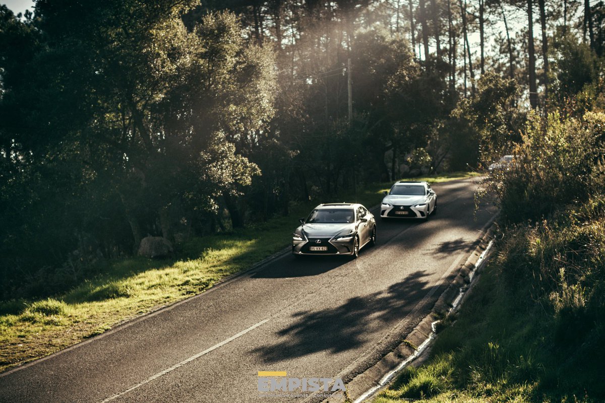 empista's tweet photo. A combination of nature... and refinement 🌿💚.
Details &amp; Moments.
#empista #electrification #hybridtechnology #automotiveevents #consulting #passion #experience #teamwork #attentiontodetail https://t.co/Md1Rq2xUeH