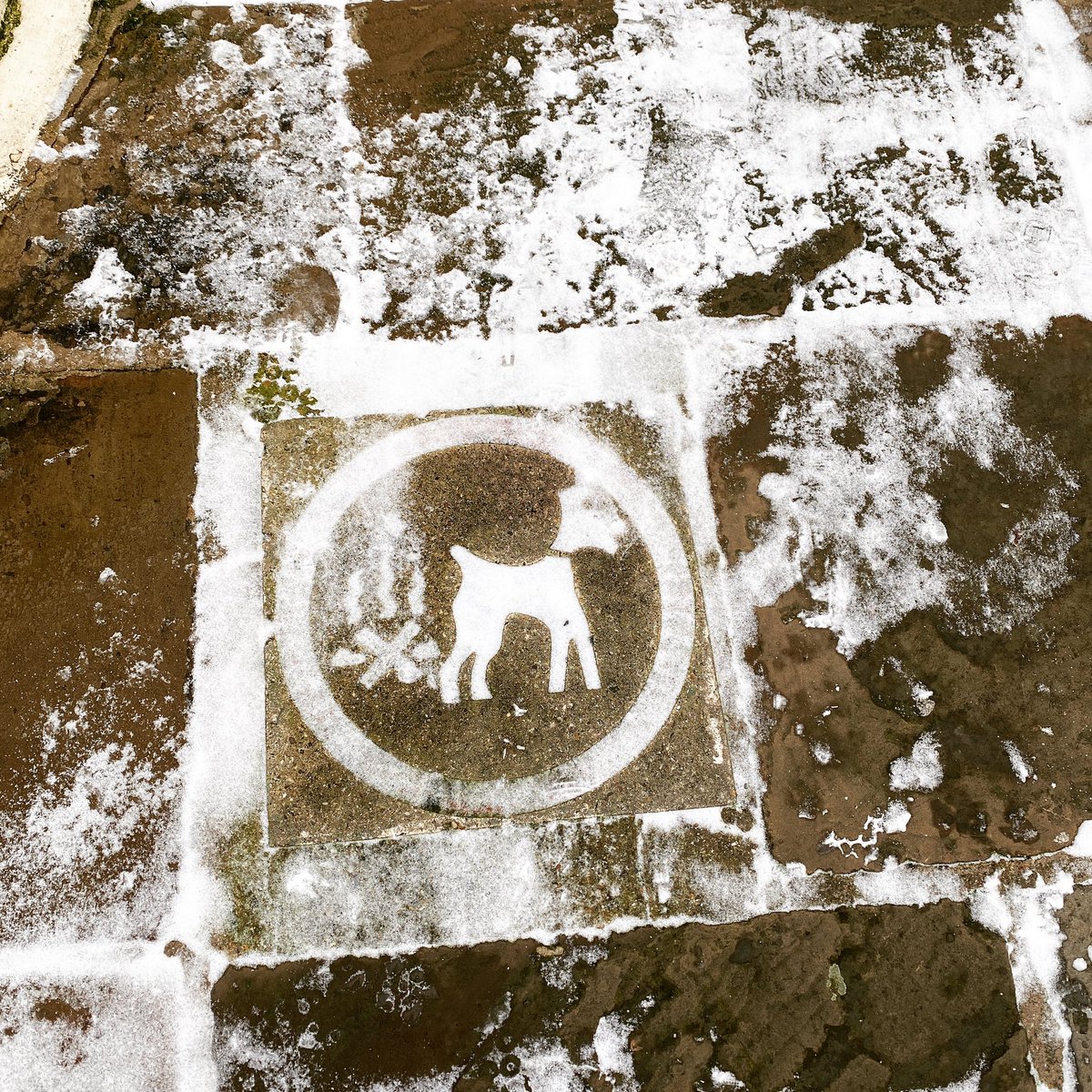 richardandgreta tweet media