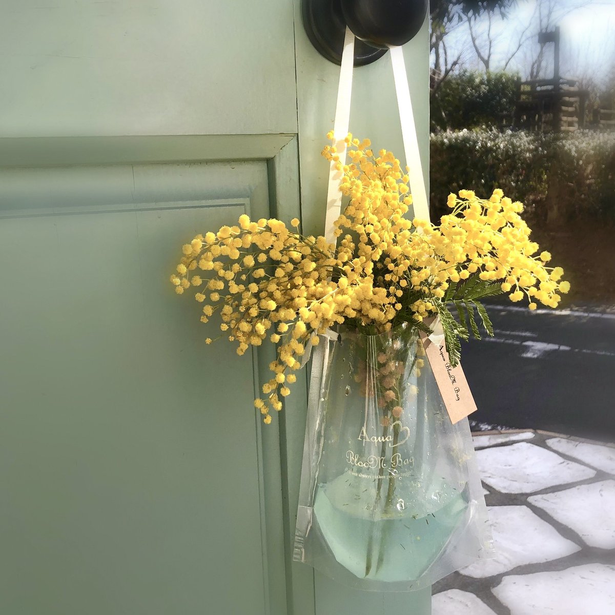 Aqua Bloom Aquabloom Twitter