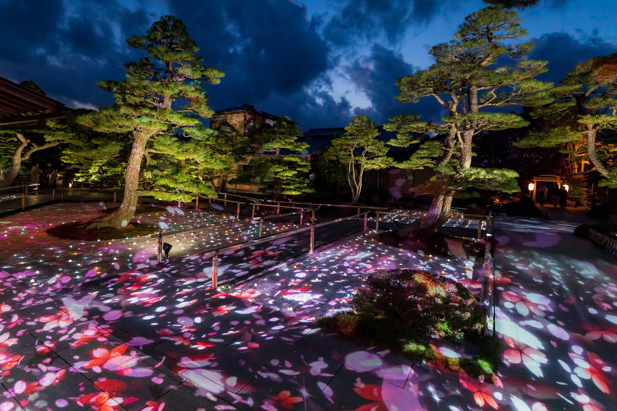 Daiki 由志園の桜ライトアップ 一足早い桜を満喫してきました 2月14日までの期間限定ライトアップです 由志園 イルミネーション 桜 島根県 松江市 大根島 T Co N38keafbam Twitter Daiki 由志園の桜ライトアップ 一足早い桜を満喫してきました 2月14日までの期間限定ライトアップです 由志園 イルミネーション 桜 島根県 松江市 大根島 T Co N38keafbam Twitter