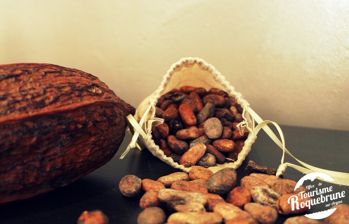 E-ChocoMômes : 1er atelier numérique ludo-éducatif 2.0 !
L’Office de Tourisme de Roquebrune-sur-Argens se lance dans les ateliers numériques et ludo-éducatifs. Pour les enfants à faire sur ordinateur, tablette, de chez soi ou de son lieu de vacances bit.ly/3ty7UUt