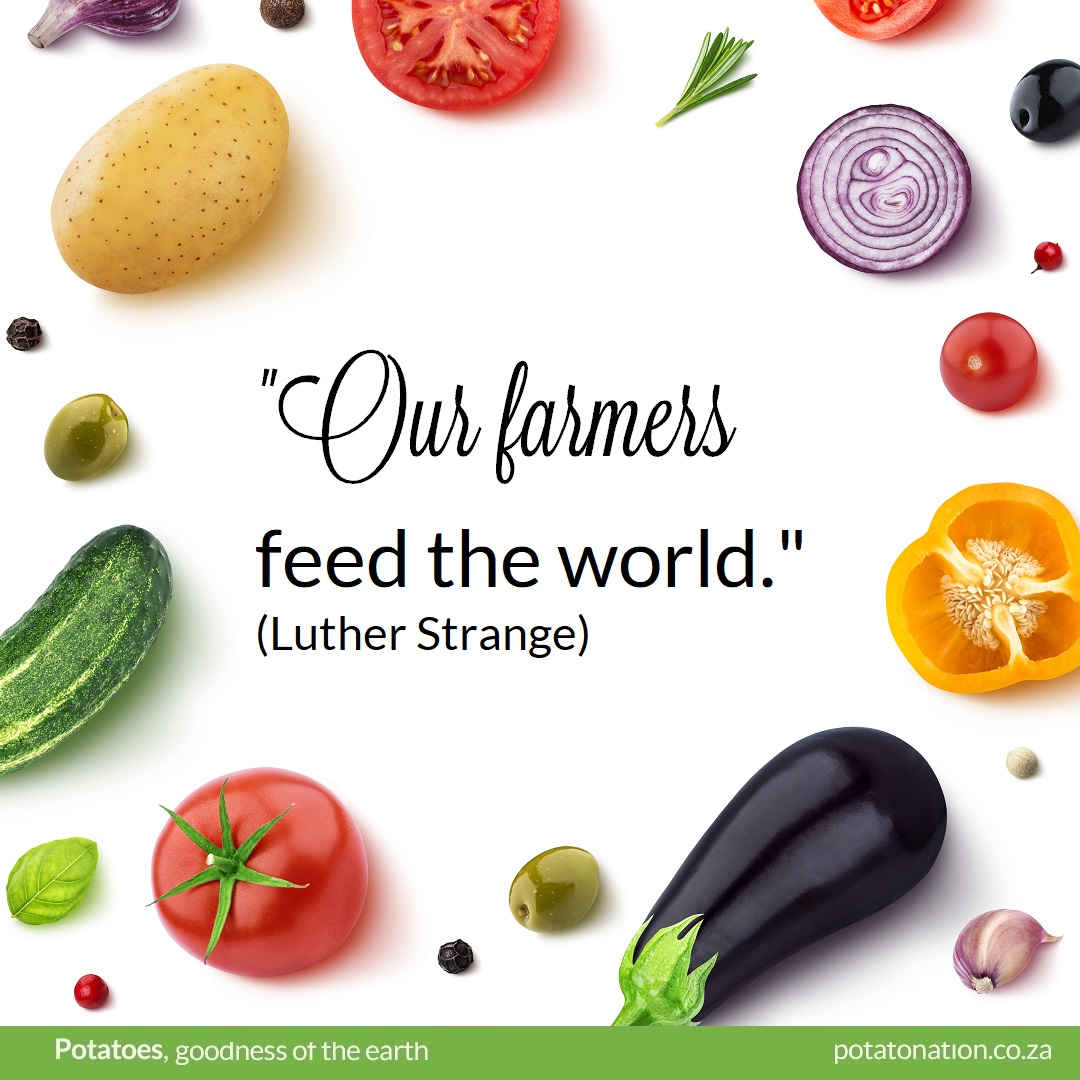 potatoes_za's tweet photo. "Our farmers feed the world. They are up before dawn and work till well after sunset. They face any number of challenges they can't control, from too much rain to not enough, from disease to insect infestations." (Luther Strange)
#ForFriesSake #ClassicGoodnessUnleashed #Potatoes https://t.co/W2s9AkcZnb