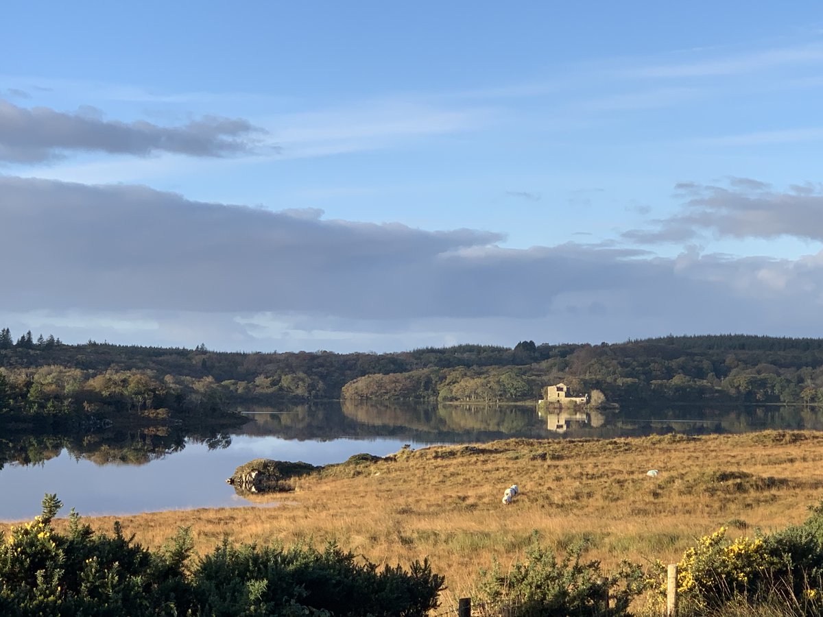We explore some of the wild beauty of Ballynahinch Castle &amp; Estate in Connemara with Noel Joyce of <a href="/ConnemaraHikes/">Connemara Hikes</a> on #RTENationwide this evening, Monday 8th February <a href="/RTEOne/">RTÉ One</a> 7pm &amp; RTE+1 8pm <a href="/rte/">RTÉ</a> 
<a href="/Failte_Ireland/">Fáilte Ireland</a> <a href="/BlathnaidRua/">Bláthnaid Ní Chofaigh</a> <a href="/galwaytweets/">Galway Tweets</a> <a href="/galwaytourism/">𝗚𝗮𝗹𝘄𝗮𝘆 𝗧𝗼𝘂𝗿𝗶𝘀𝗺</a> <a href="/galwayadventure/">Galway Adventure</a> RT