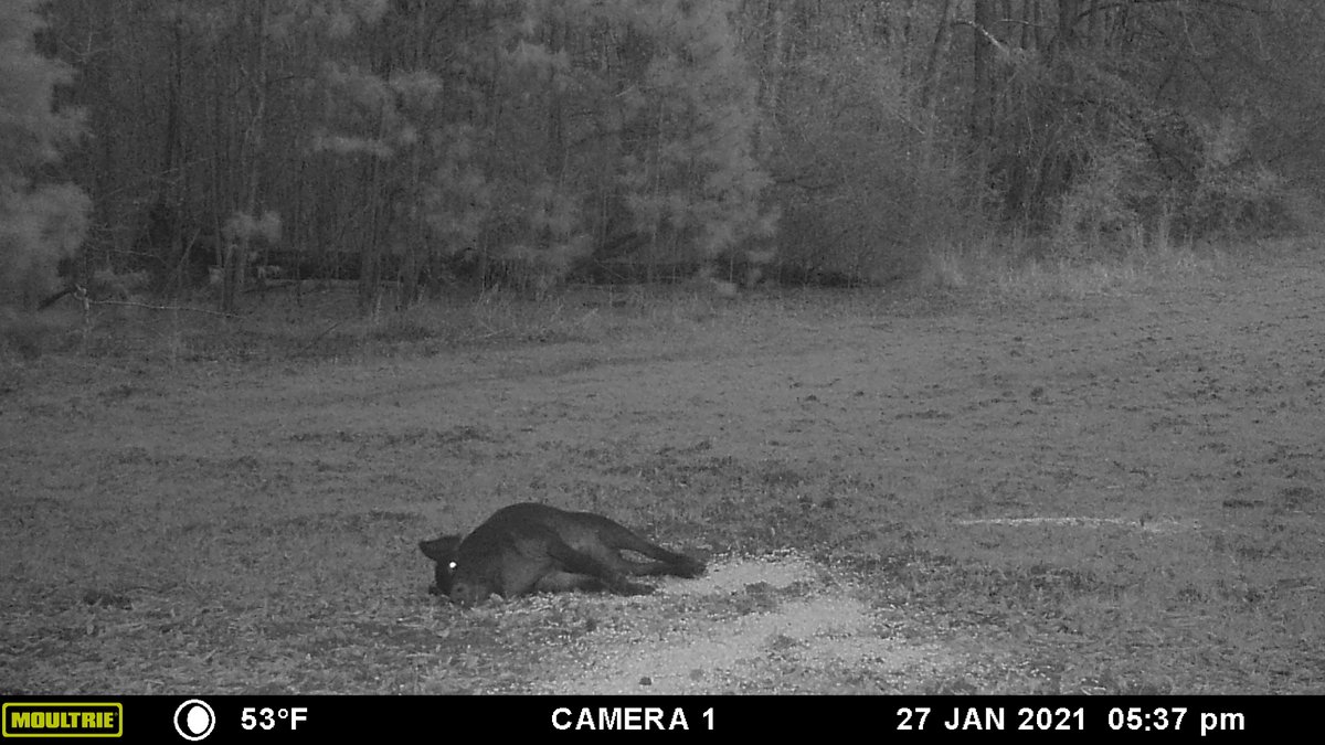 Moultrie Products tweet media