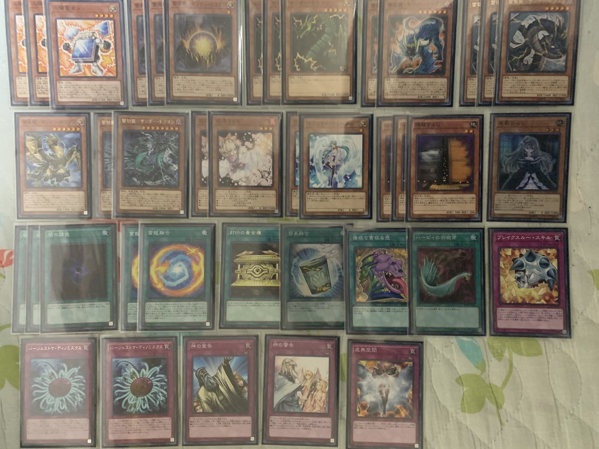 ラプカ 昔の遊戯王デッキ引っ張り出して制限カード抜いて適当なカード入れてみただけだから多分壊滅してる 絶対ゴードン要らんやろ