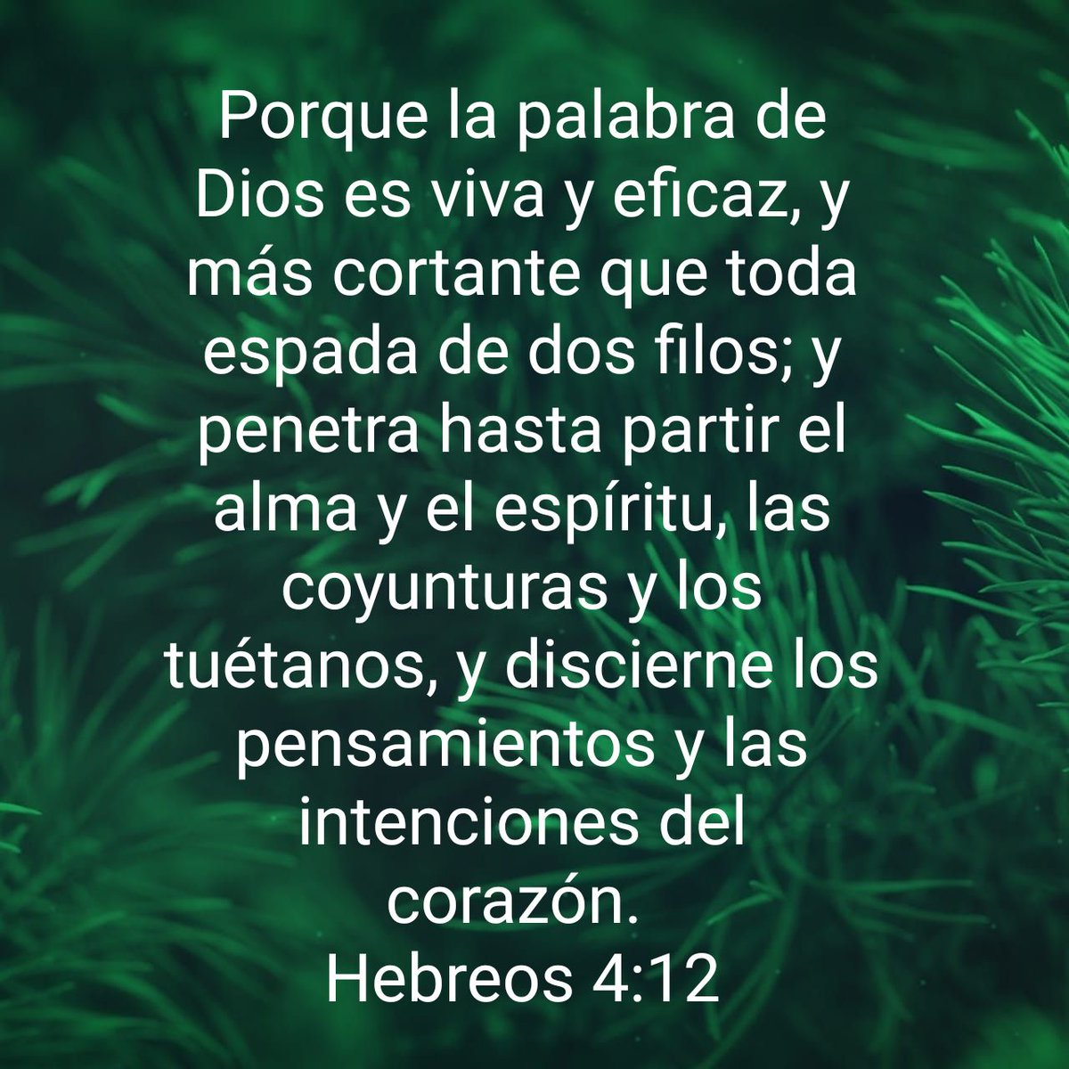 Pensamiento para hoy | Pensamientos de vida, image size:1200x1200