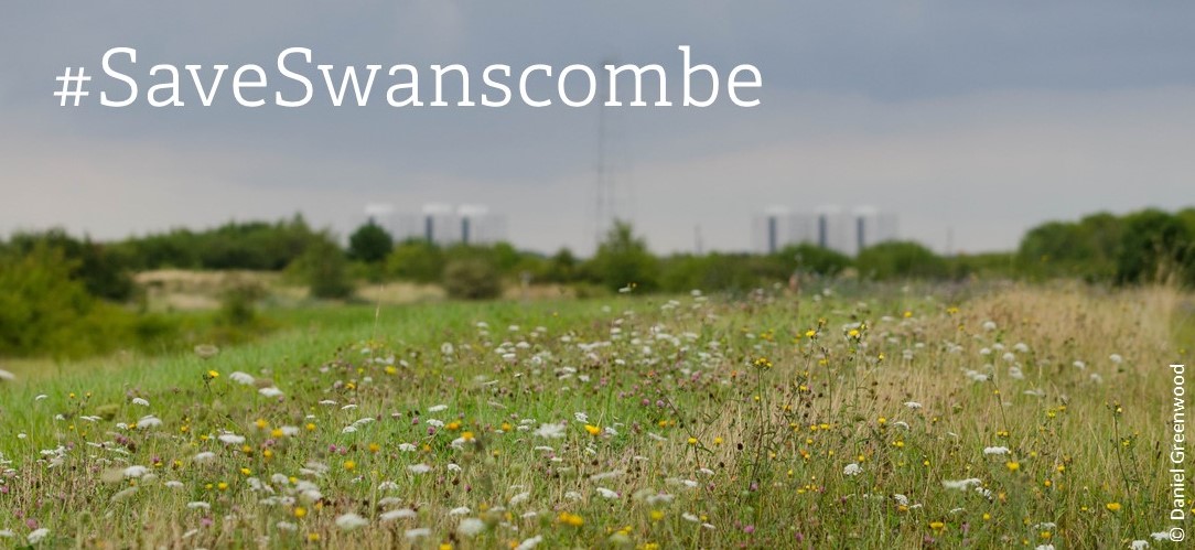 A nationally important wildlife site could be destroyed for a theme park – we can’t let this happen.

Please help us to #SaveSwanscombe by signing this petition 👉 butrfli.es/SaveSwanscombe