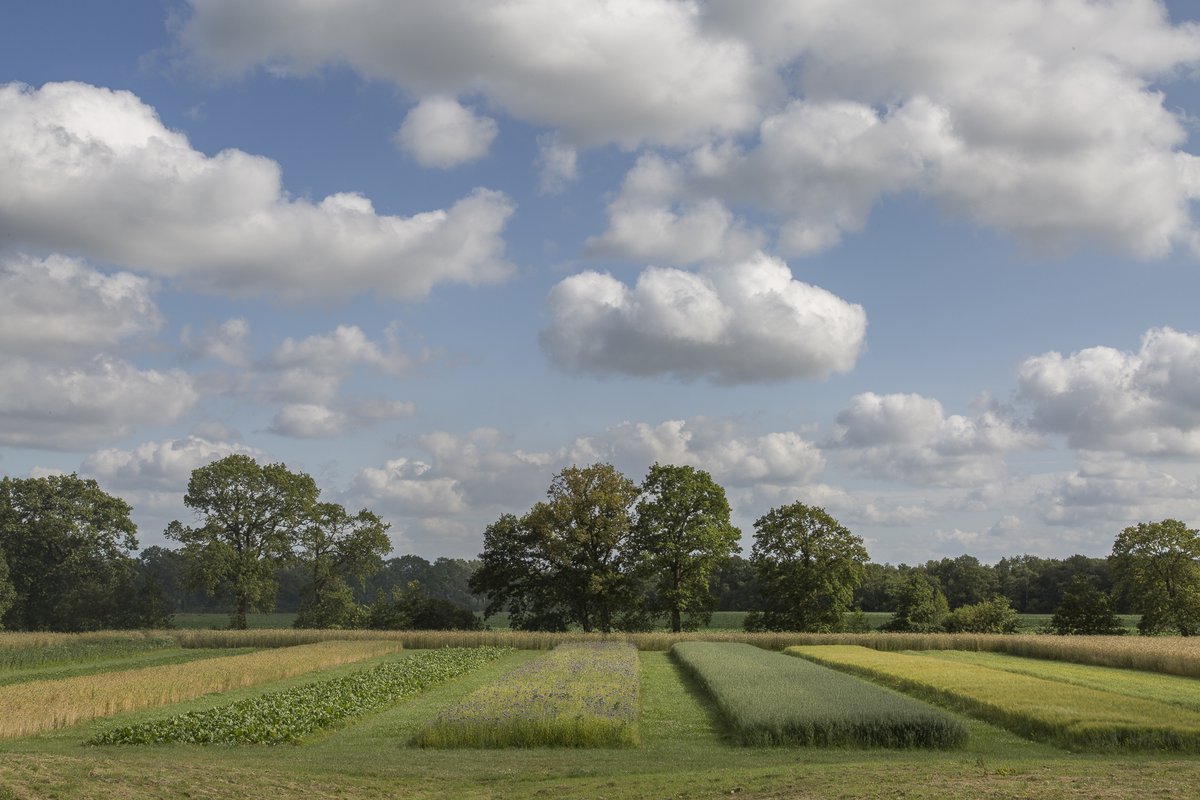 Digitale thema-avond Bio-economie Drentsche Aa en Dubbel Drents op donderdag 18 februari 2021, 20:00 uur. Deelname gratis.
Aanmelden: fd9.formdesk.com/provdrenthe/th…
Info: drentscheaa.nl/actueel/nieuws…