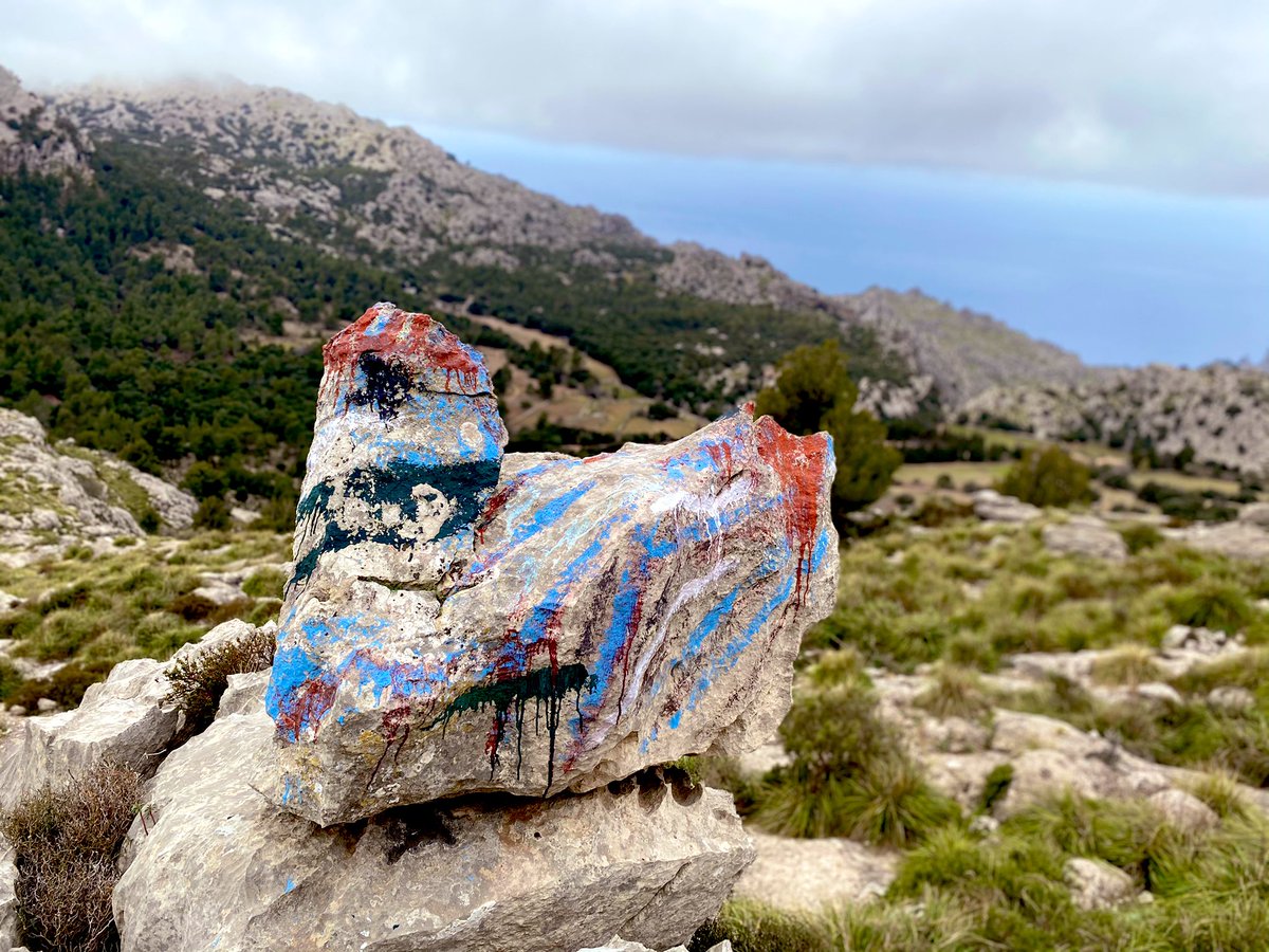 tofolcastanyer's tweet photo. Igual me falta esperit artístic...
Però algu em pot explicar de que putes serveix pintar retxes a les roques? 
#BonDia #Bonasetmana https://t.co/21AsQoA1WE
