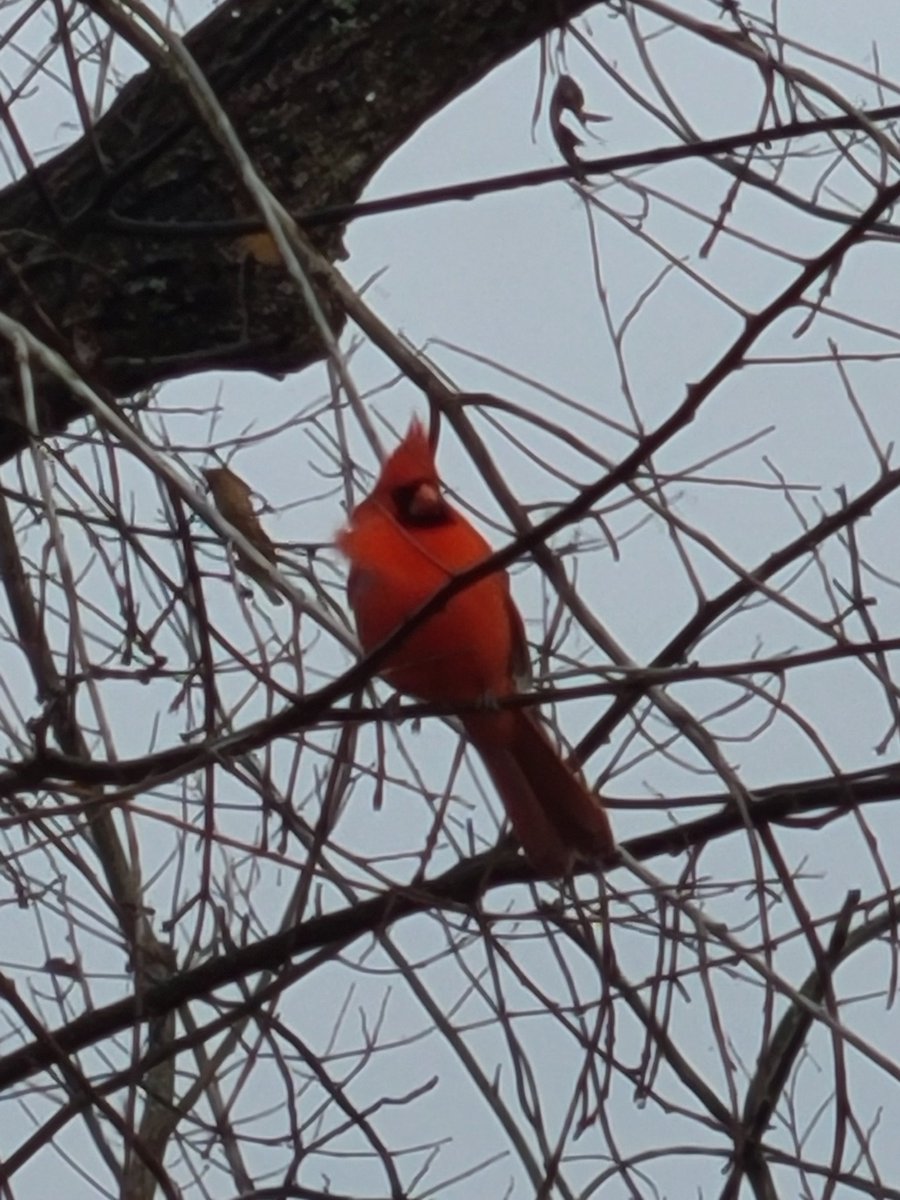 Chris Robbins tweet media