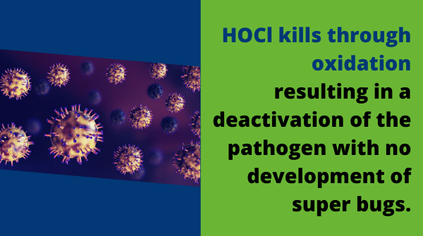 EcoLogicInc's tweet image. #TechHighlight - eFFectcant, our safe and effective disinfectant cleaner with an active ingredient of Hypochlorous Acid (HOCl).

#EcoLogic #greentech #greenliving #greencleaning #sustainablesolutions #sustainablefuture