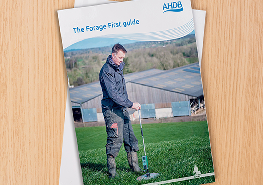 Our new Forage First guide launches today! Aimed at both all year round &amp; block calving herds, it provides information &amp; practical advice to help you reduce feed costs on farm &amp; optimise the benefit from grazed grass &amp; home-grown forage. 

Download here: ow.ly/vU0u50Du4cm