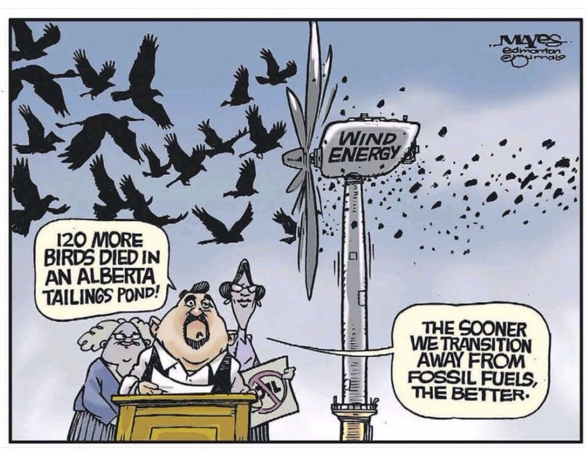 WBrettWilson's tweet photo. Hypocrisy.... https://t.co/SK3PlqV9ap