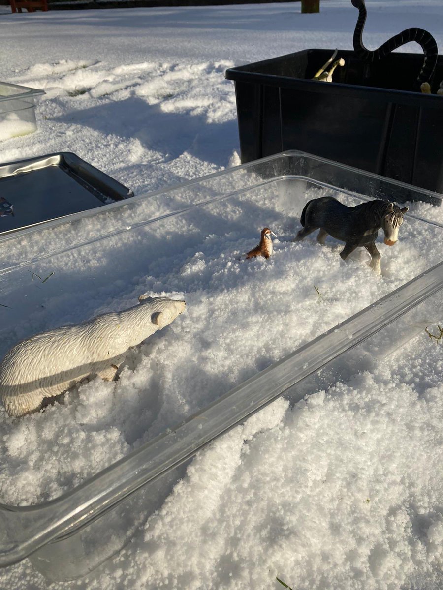 Aberdeen Play Forum tweet media