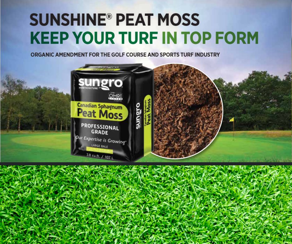 Peat Moss Lawn