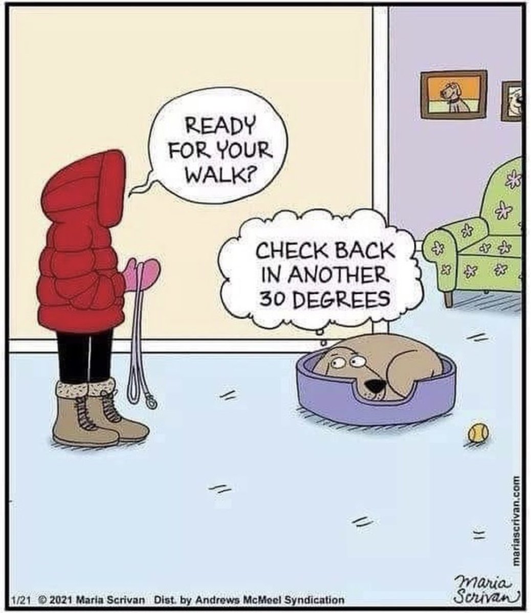 funkybunchpets's tweet photo. 🥶It’s a bitter cold week, but not everyone is happy about it. Keep an eye on how much time your pets spend outside, and provide warm areas out of the wind. If you’d rather not get out in the cold and would prefer us to walk your dog, visit https://t.co/4i0JXYgOyP #sedaliamo https://t.co/JLhEHxNoS5