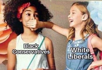 Browbeating their liberal/centrist-y critics into entertaining their nonsense by calling them hypocrites and the "real" bigots for silencing [insert marginalized group here] they don't agree with. In other words, this meme and those like it./6