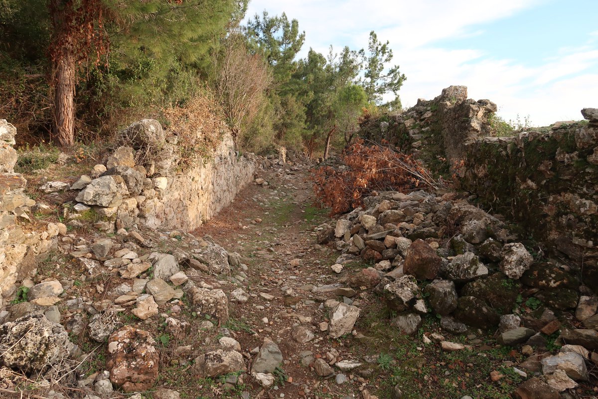 6/10 Syedra's western gate, close to the baptismal cave, and other buildings in its vicinity. The late afternoon sunlight shining through the trees, coupled with the site's emptiness, made for pleasant exploring.