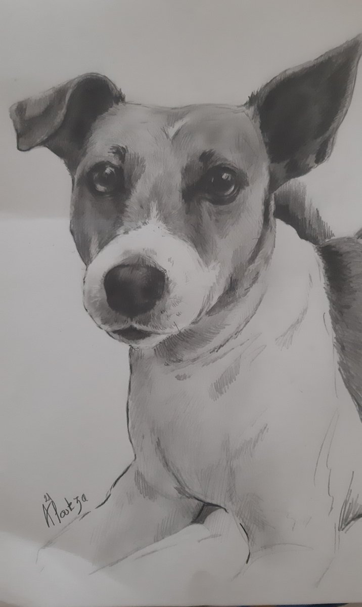 Sandraxic's tweet photo. Avui m'han sorprès amb aquest regal tan especial. No tinc paraules per descriure el que he sentit al veure-ho. Si, encara ploro!!
#jackrussell #lola #amiga #gossos #companysdevida #angelsambcua #tanyorotan #lamevanenapetita #art #obresdart #@andrearodriguezart #@a.fouteza https://t.co/uah76WUNYA