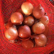 4/8 For pre-emergent herbicides - Look for Goal/Galigan/Oxyfluofern. For post-emergent herbicides, use either Gallant super, 1 - 2Lt/ha or Agil, 0.5 - 2Lt/ha or Fusilade forte. Prices for Gallant super & Agil are $10 & 22/Liter respectively  @MoLAFWRR_Zim  @AgritexS  @WendyMadzura