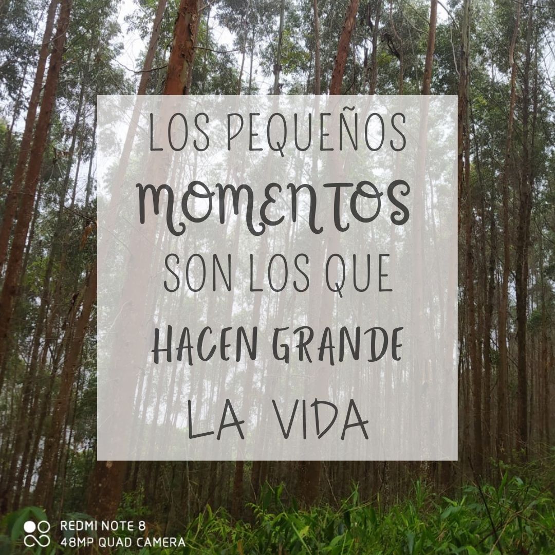 Feliz inicio de semana 🌄🌳