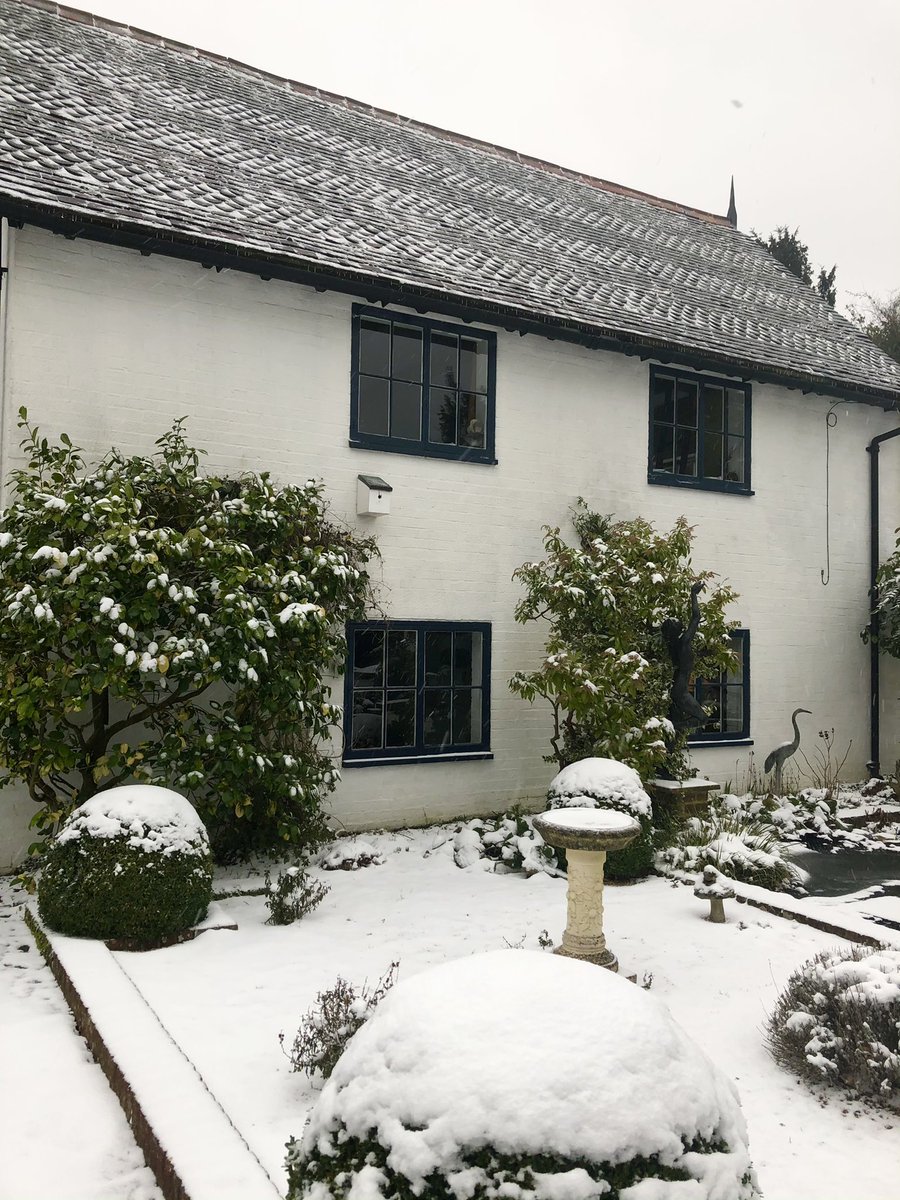 Colonnade Florist tweet media