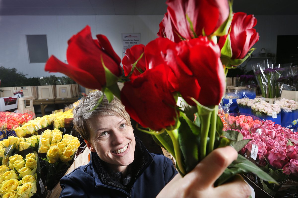On This Day in 2018

Sally Poynter of GT Flowers, Leeds, West Yorkshire, preparing some of the 150,000 roses they sent out to florists for Valentine's Day. Most of the roses are grown in Ecuador or Holland.
