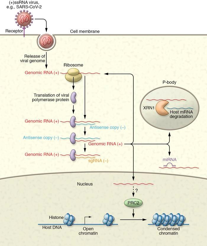FitzGerald__Lab tweet picture