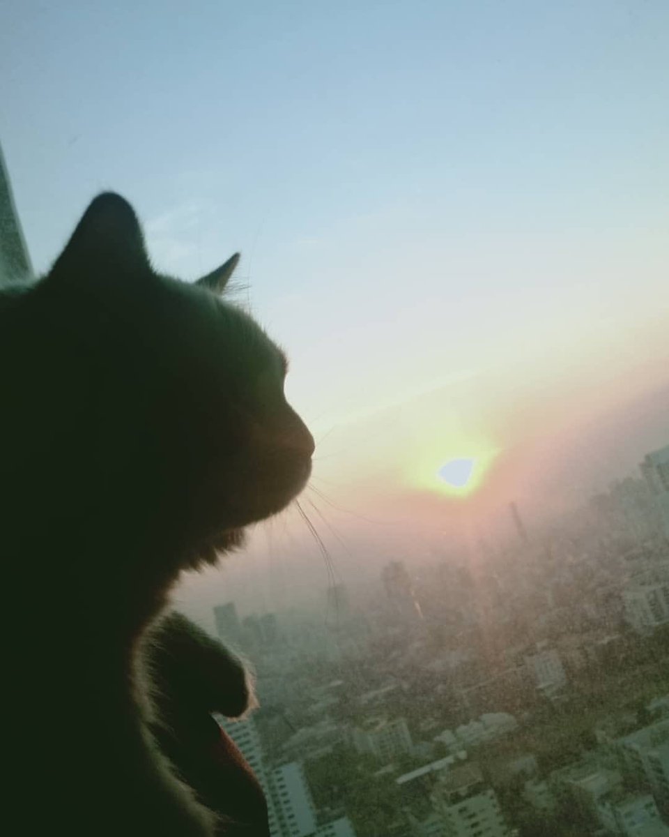 18aprril's tweet photo. เหมือนยันเงา @bbrightvc 👀

#BrightLikeAme
#bbrightvc https://t.co/EJdLctCr8Q