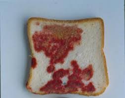 AnneAMadden's tweet photo. Read more: https://t.co/gisvgCnAtL
Plate &amp; bread photo sources: https://t.co/7lpXDDmtrH and https://t.co/4arH0VA2fE
More about the microbe crayon project: 
https://t.co/dABS992eq6
#MicrobeCrayons https://t.co/GNA5Vw7wjD