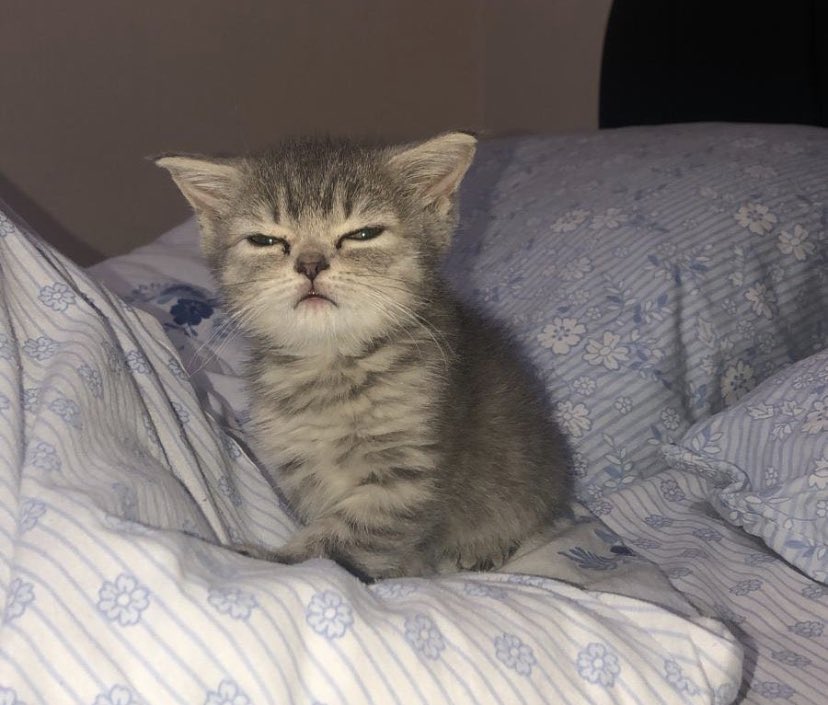 Geleceğimi görmeye çalışıyorum